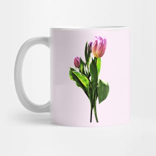 Lovely Pale Pink Tulips Mug
